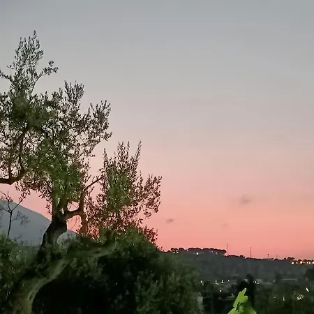 Βίλα Il Giardino Degli Ulivi *