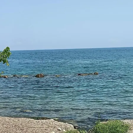 Il Giardino Degli Ulivi Trabia